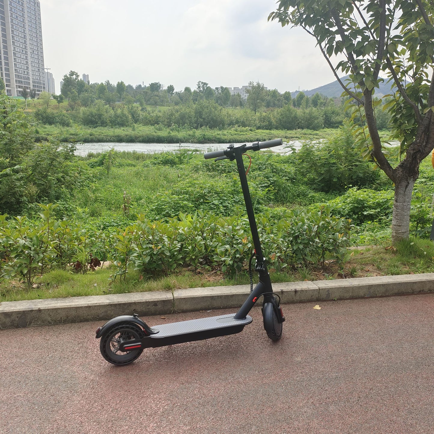 Adult Electric Scooter Folding Electric Scooter