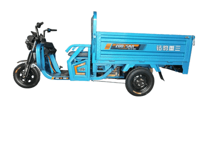 Pioneer second-generation electric three wheel 1.6m(2)